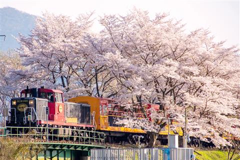 嵯峨野トロッコ列車